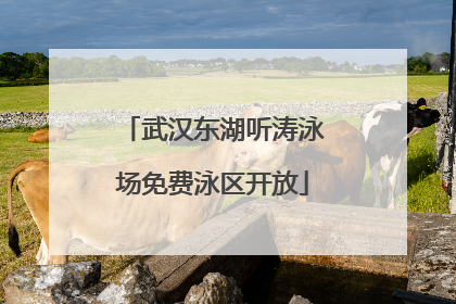 武汉东湖听涛泳场免费泳区开放
