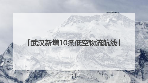 武汉新增10条低空物流航线