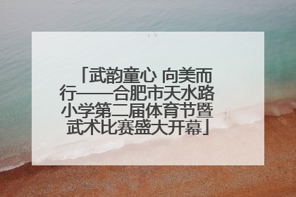 武韵童心 向美而行——合肥市天水路小学第二届体育节暨武术比赛盛大开幕