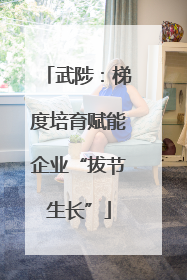 武陟：梯度培育赋能企业“拔节生长”
