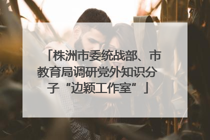 株洲市委统战部、市教育局调研党外知识分子“边颖工作室”
