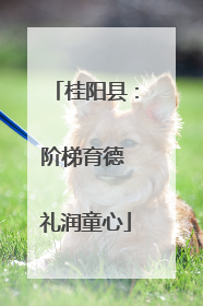 桂阳县：阶梯育德 礼润童心