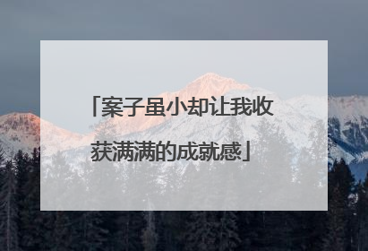 案子虽小却让我收获满满的成就感