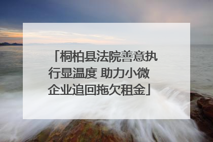 桐柏县法院善意执行显温度 助力小微企业追回拖欠租金