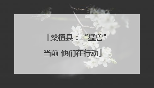 桑植县：“猛兽”当前 他们在行动