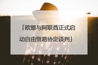 欧盟与阿联酋正式启动自由贸易协定谈判