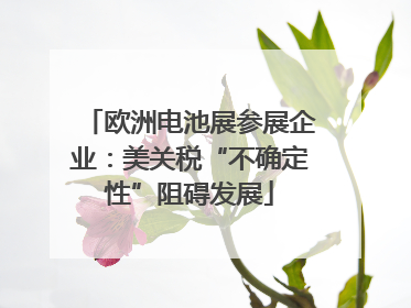 欧洲电池展参展企业：美关税“不确定性”阻碍发展