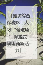 潍坊综合保税区：人才“强磁场” 赋能跨境电商新活力