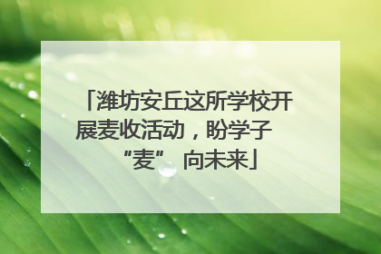 潍坊安丘这所学校开展麦收活动，盼学子 “麦” 向未来