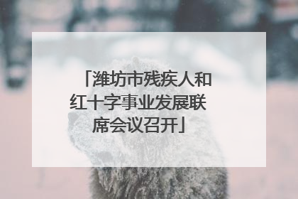 潍坊市残疾人和红十字事业发展联席会议召开