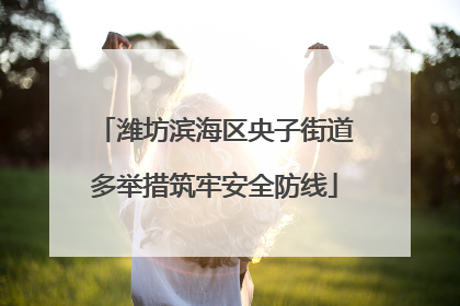 潍坊滨海区央子街道多举措筑牢安全防线