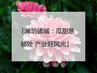 潍坊诸城：瓜甜葱郁处 产业好风光