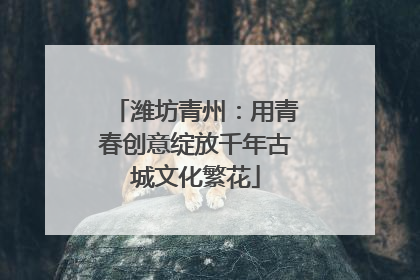 潍坊青州：用青春创意绽放千年古城文化繁花