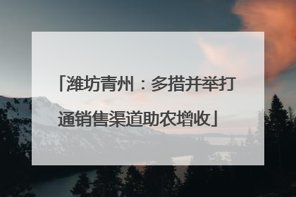 潍坊青州：多措并举打通销售渠道助农增收