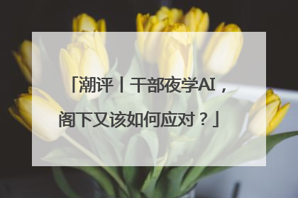 潮评丨干部夜学AI，阁下又该如何应对？