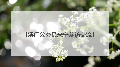 澳门公务员来宁参访交流