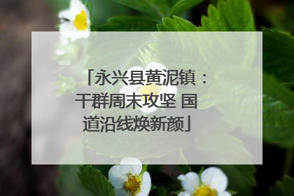 永兴县黄泥镇：干群周末攻坚 国道沿线焕新颜