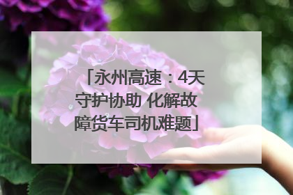 永州高速：4天守护协助 化解故障货车司机难题