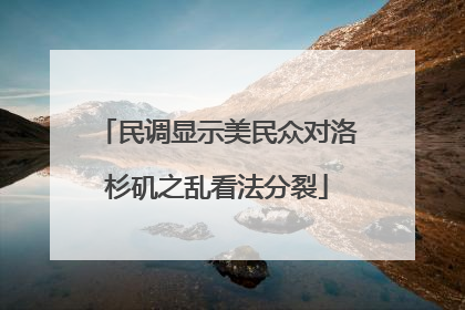 民调显示美民众对洛杉矶之乱看法分裂