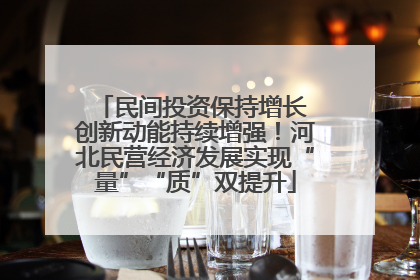 民间投资保持增长 创新动能持续增强！河北民营经济发展实现“量”“质”双提升