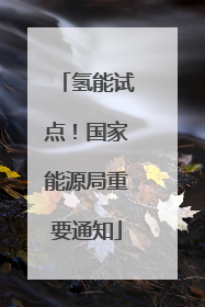 氢能试点！国家能源局重要通知
