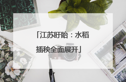 江苏盱眙：水稻插秧全面展开