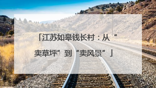 江苏如皋钱长村：从“卖草坪”到“卖风景”