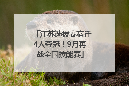 江苏选拔赛宿迁4人夺冠！9月再战全国技能赛