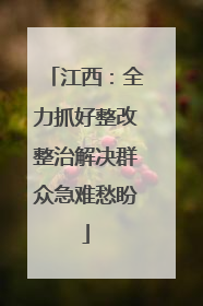 江西：全力抓好整改整治解决群众急难愁盼