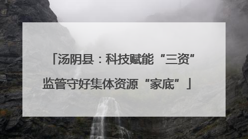 汤阴县：科技赋能“三资”监管守好集体资源“家底”