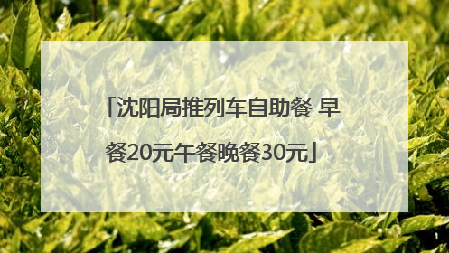 沈阳局推列车自助餐 早餐20元午餐晚餐30元