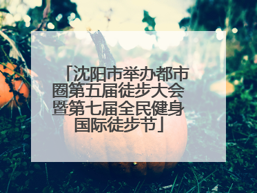 沈阳市举办都市圈第五届徒步大会暨第七届全民健身国际徒步节