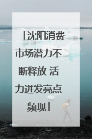 沈阳消费市场潜力不断释放 活力迸发亮点频现