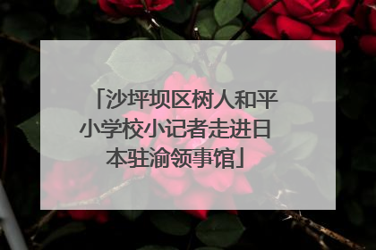 沙坪坝区树人和平小学校小记者走进日本驻渝领事馆