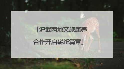沪武两地文旅康养合作开启崭新篇章