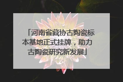 河南省藏协古陶瓷标本基地正式挂牌，助力古陶瓷研究新发展