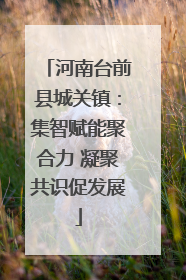 河南台前县城关镇：集智赋能聚合力 凝聚共识促发展