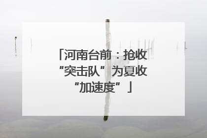 河南台前：抢收“突击队”为夏收“加速度”