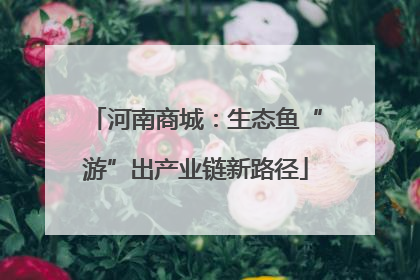 河南商城：生态鱼“游”出产业链新路径