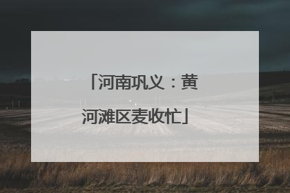 河南巩义：黄河滩区麦收忙