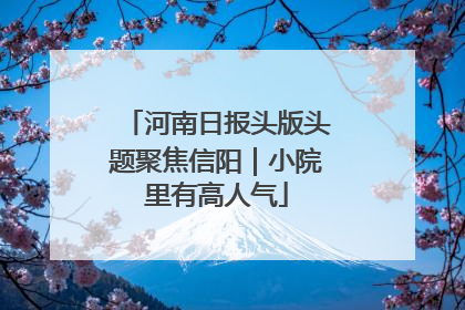 河南日报头版头题聚焦信阳｜小院里有高人气