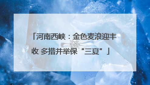 河南西峡：金色麦浪迎丰收 多措并举保“三夏”