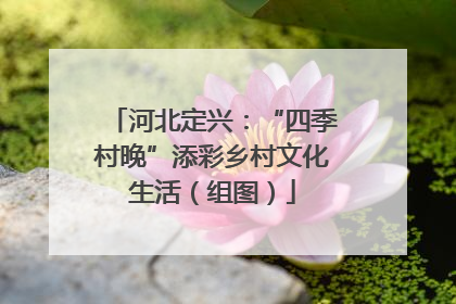 河北定兴：“四季村晚”添彩乡村文化生活（组图）