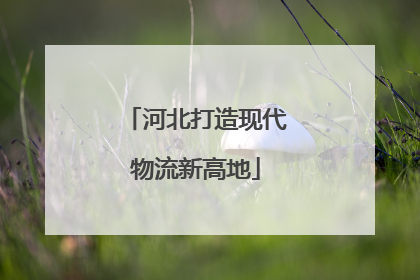 河北打造现代物流新高地