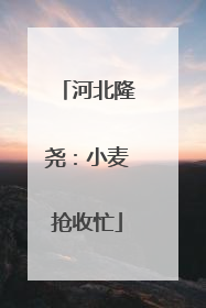 河北隆尧：小麦抢收忙