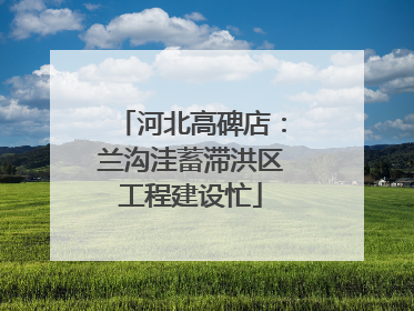 河北高碑店：兰沟洼蓄滞洪区工程建设忙