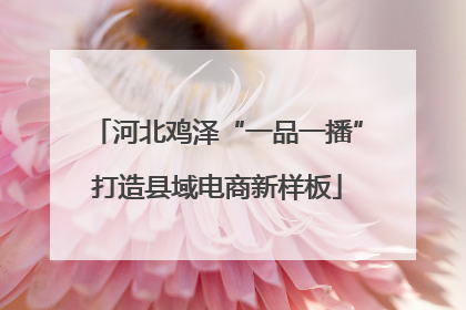 河北鸡泽“一品一播”打造县域电商新样板