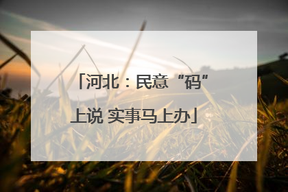 河北：民意“码”上说 实事马上办