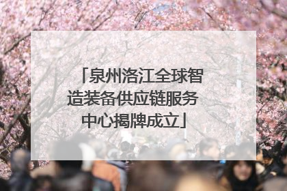 泉州洛江全球智造装备供应链服务中心揭牌成立