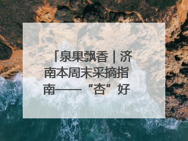 泉果飘香｜济南本周末采摘指南——“杏”好遇见你！